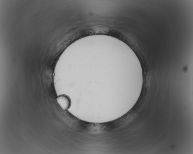 X0000116560321200912311938