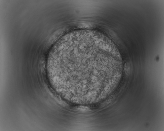 X0000116560322200912311938