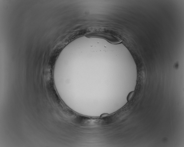 X0000116560323200912311938