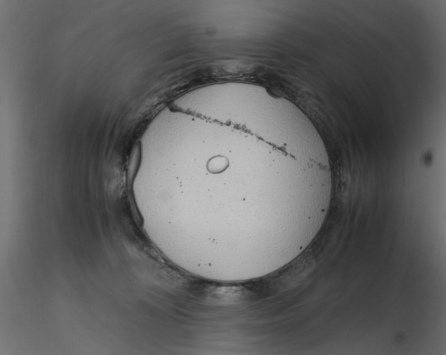 X0000116560324200912311938