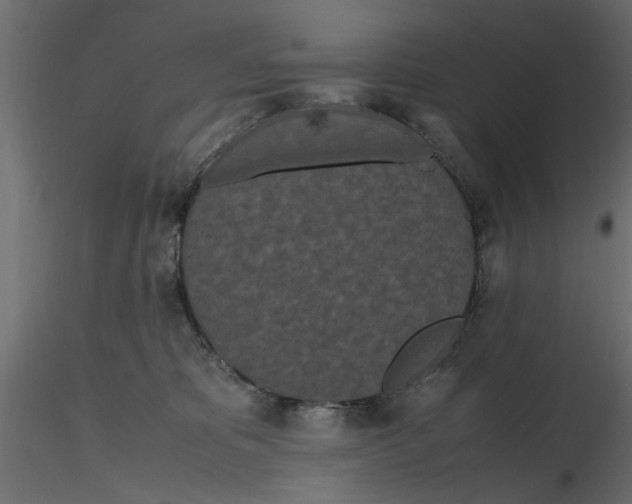 X0000116560325200912311938