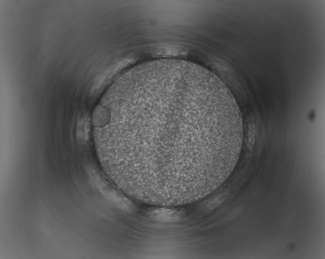 X0000116560326200912311938