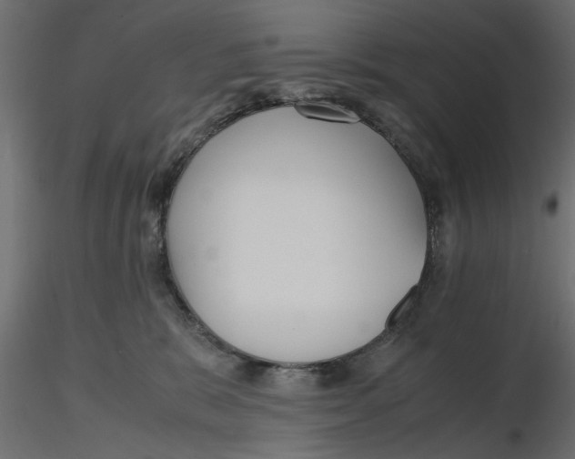 X0000116560327200912311938