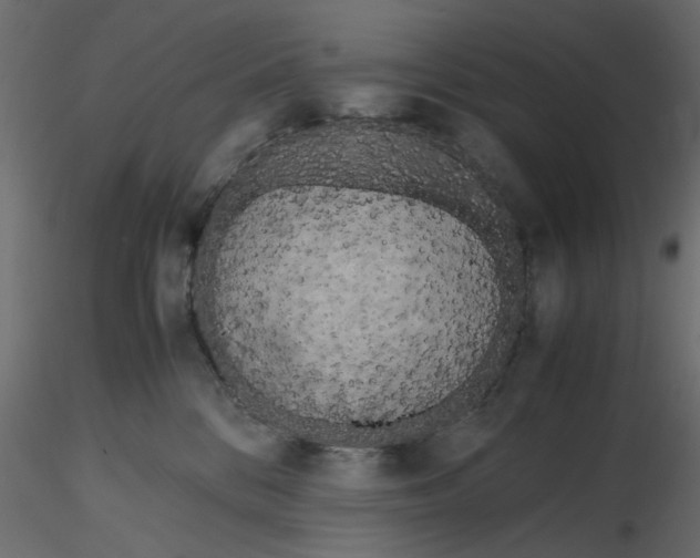 X0000116560328200912311938