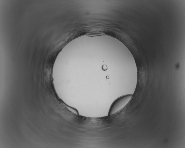 X0000116560329200912311938