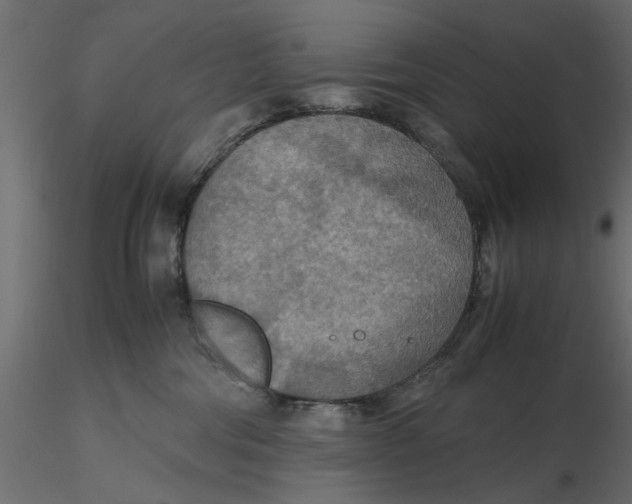 X0000116560330200912311938