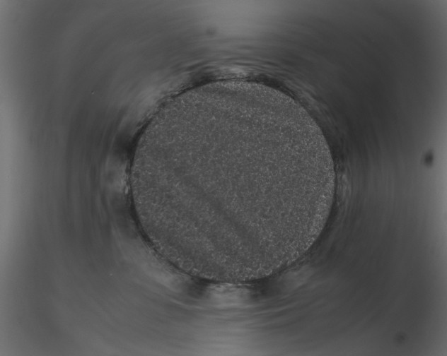 X0000116560331200912311938