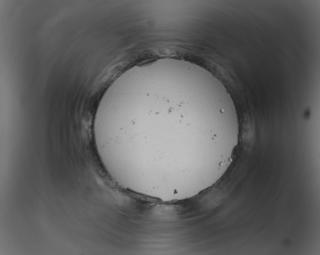 X0000116560332200912311938