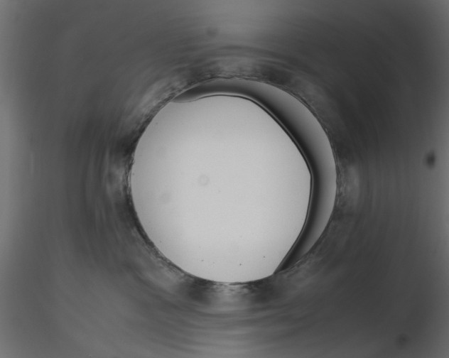 X0000116560333200912311938