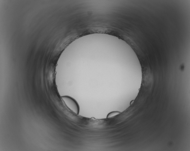 X0000116560334200912311938