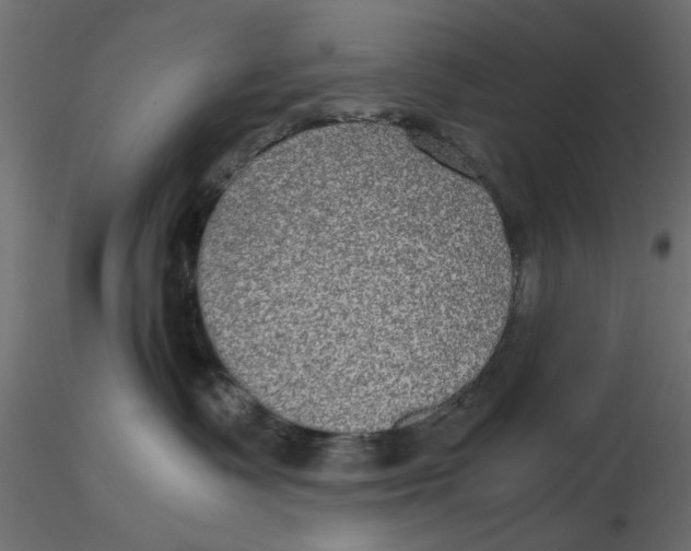 X0000116560335200912311938