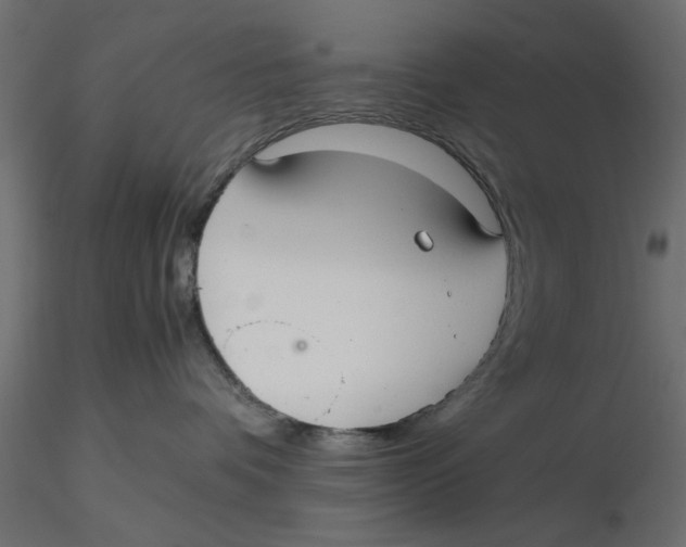 X0000116560336200912311938