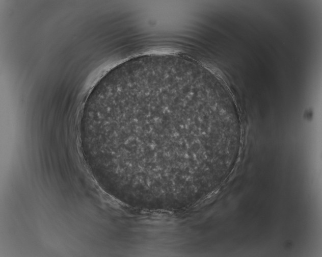 X0000116560337200912311937