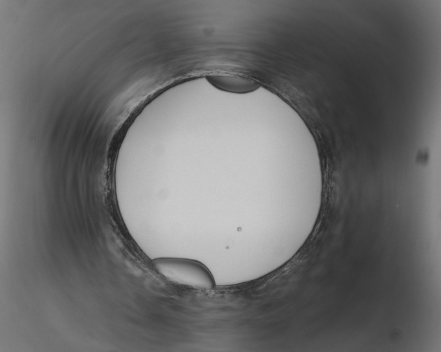 X0000116560338200912311937