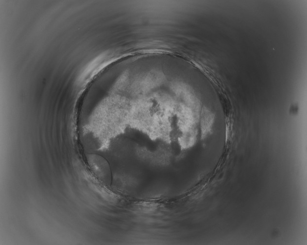 X0000116560339200912311937