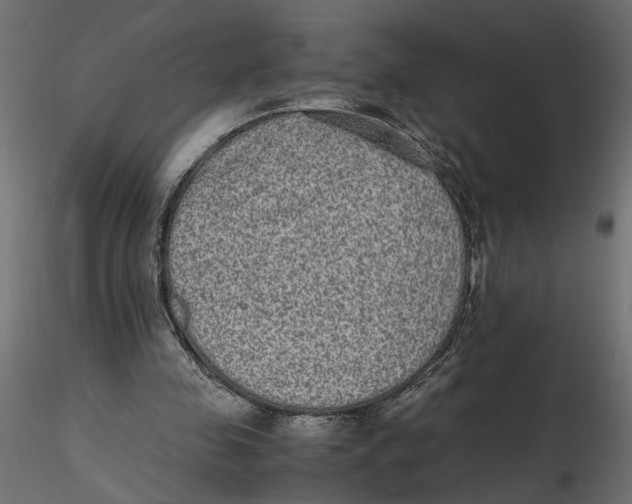 X0000116560341200912311937