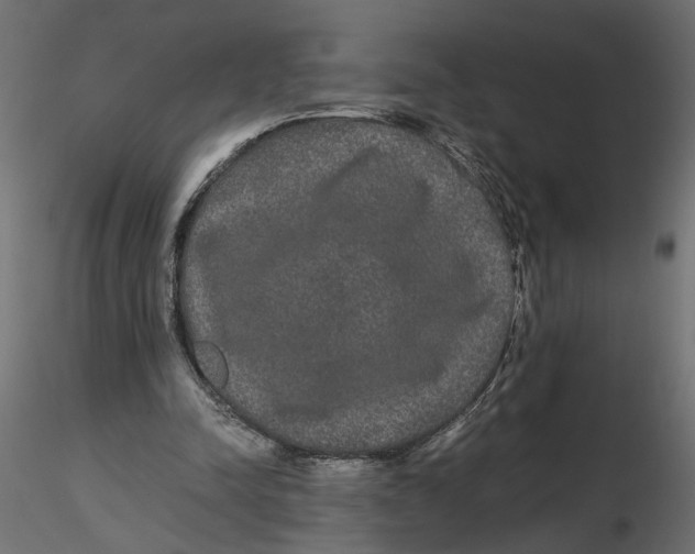 X0000116560342200912311937