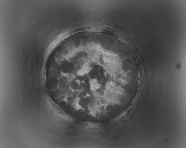 X0000116560343200912311937