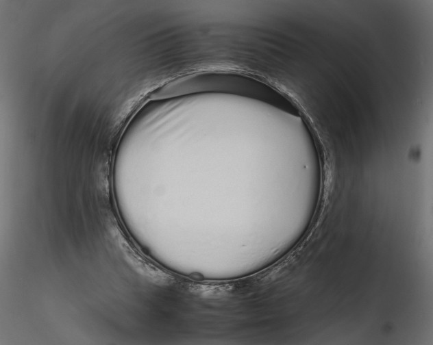 X0000116560345200912311937