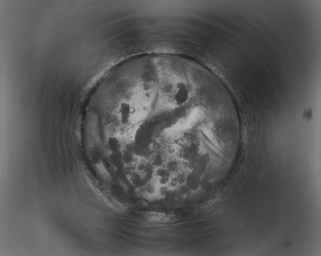 X0000116560347200912311937