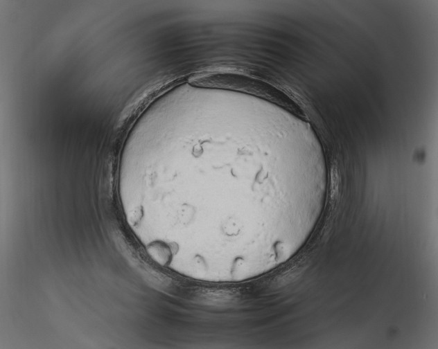 X0000116560349200912311937