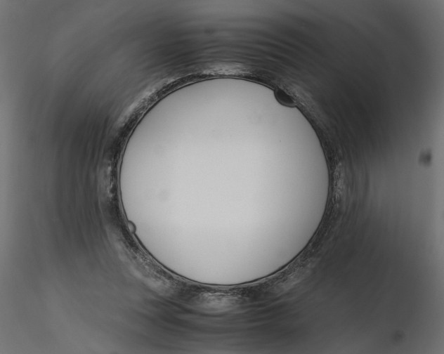 X0000116560351200912311937