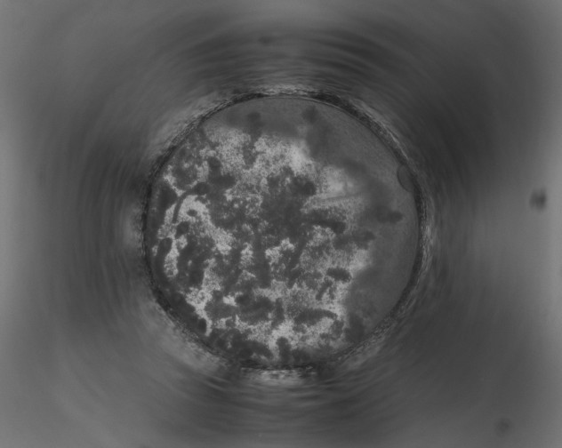 X0000116560353200912311937