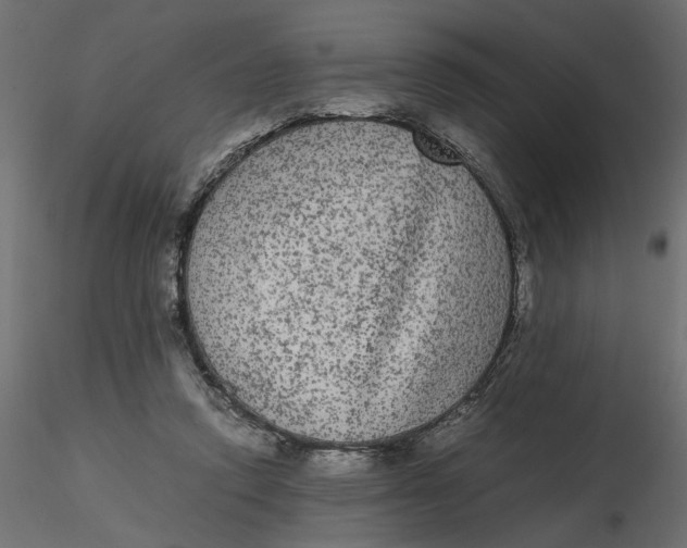 X0000116560354200912311937