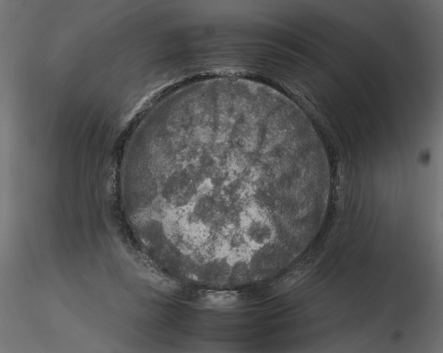 X0000116560355200912311937