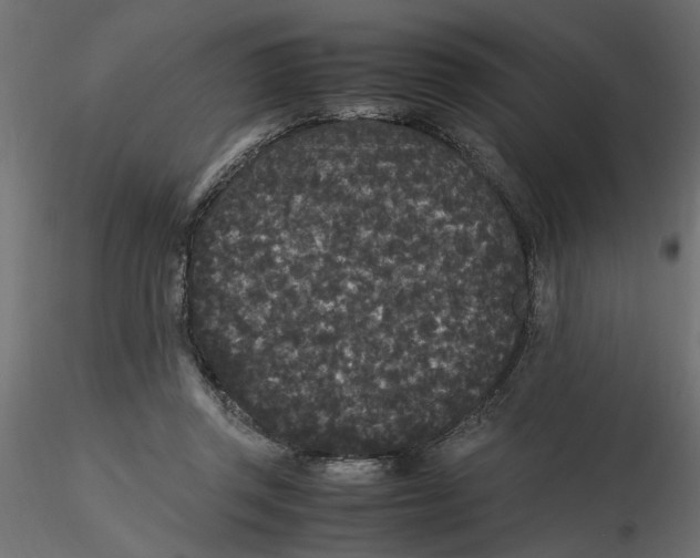 X0000116560357200912311937