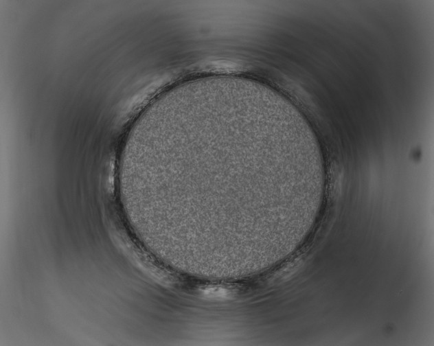 X0000116560358200912311937