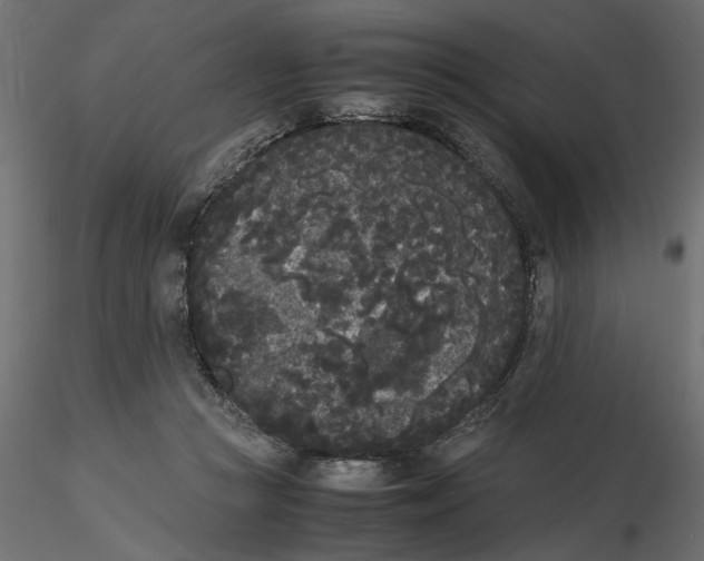 X0000116560361200912311937