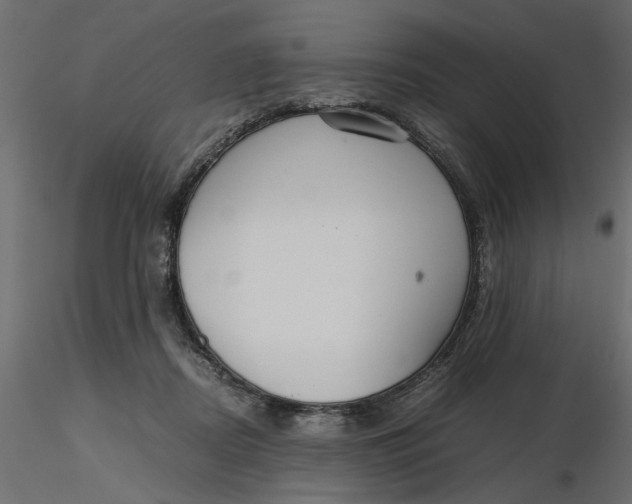 X0000116560362200912311937