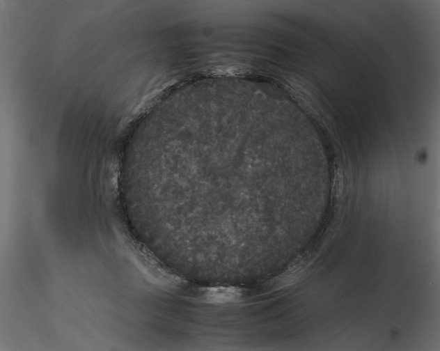 X0000116560363200912311937