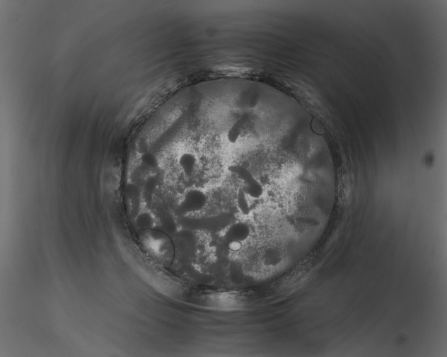 X0000116560365200912311937