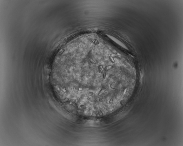 X0000116560366200912311937