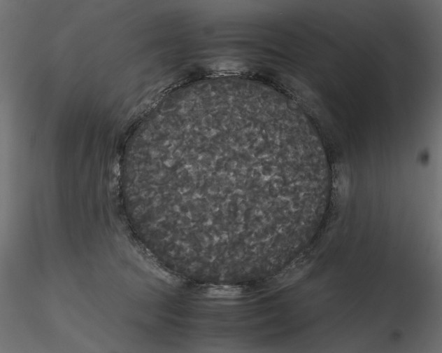 X0000116560369200912311937