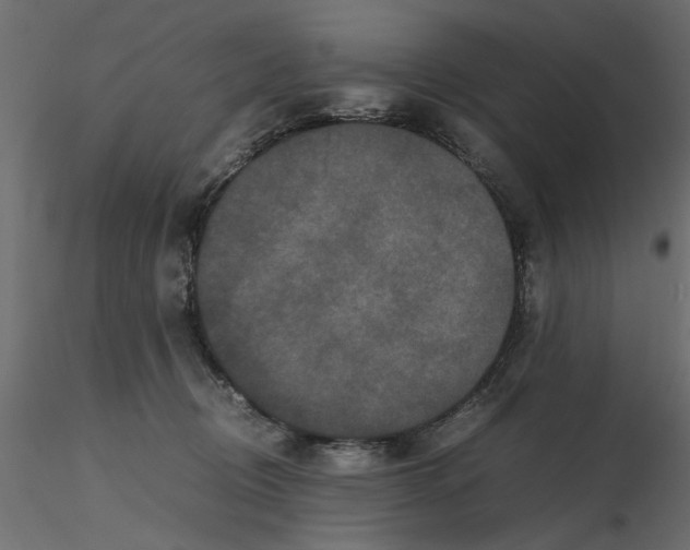 X0000116560370200912311937