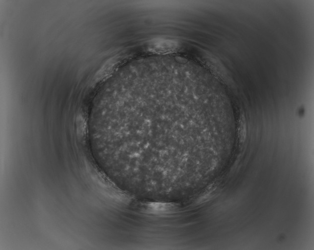 X0000116560371200912311937