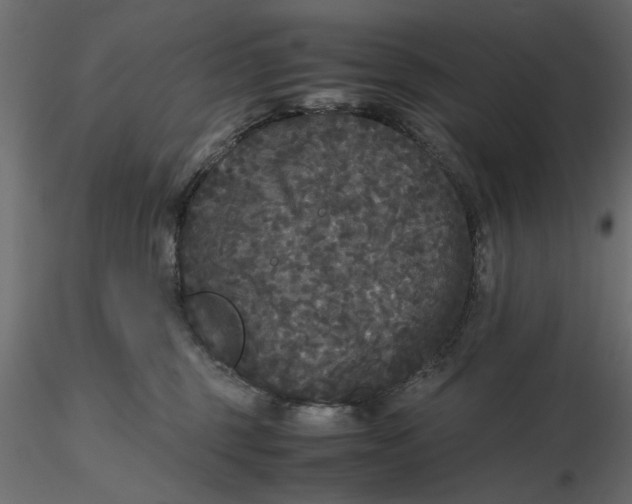 X0000116560375200912311937