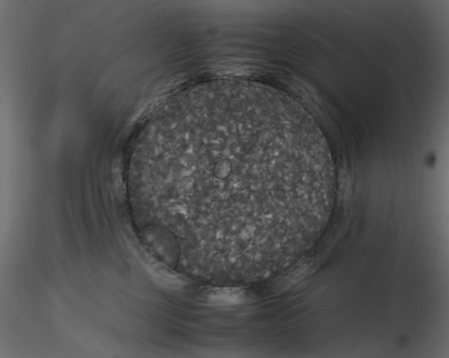 X0000116560377200912311937