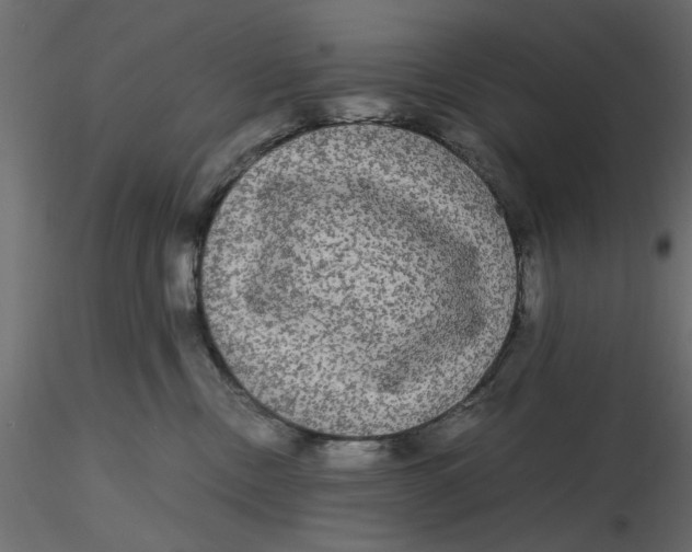 X0000116560378200912311937