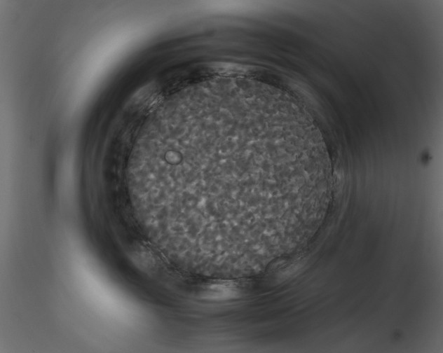 X0000116560381200912311937