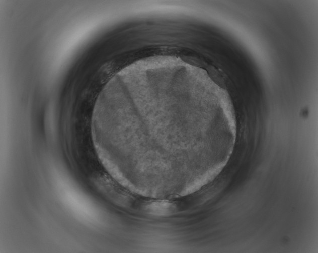 X0000116560383200912311938