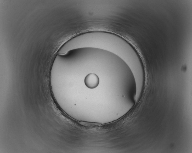 X0000116560385200912311937