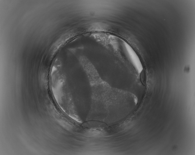 X0000116560386200912311937