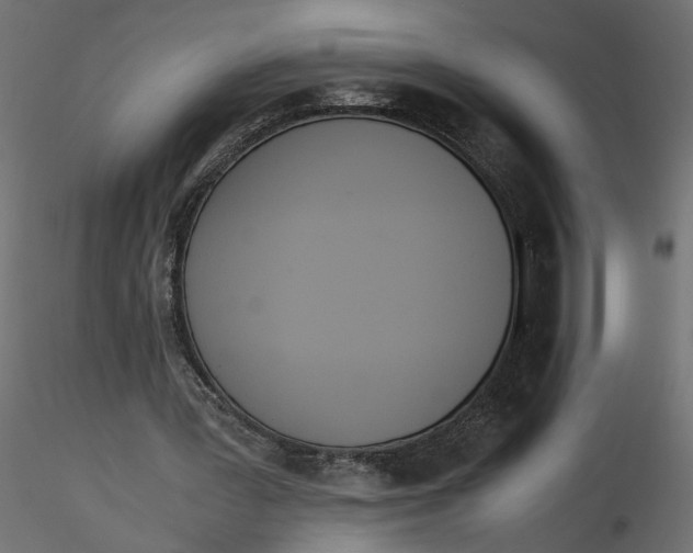 X0000116560387200912311937