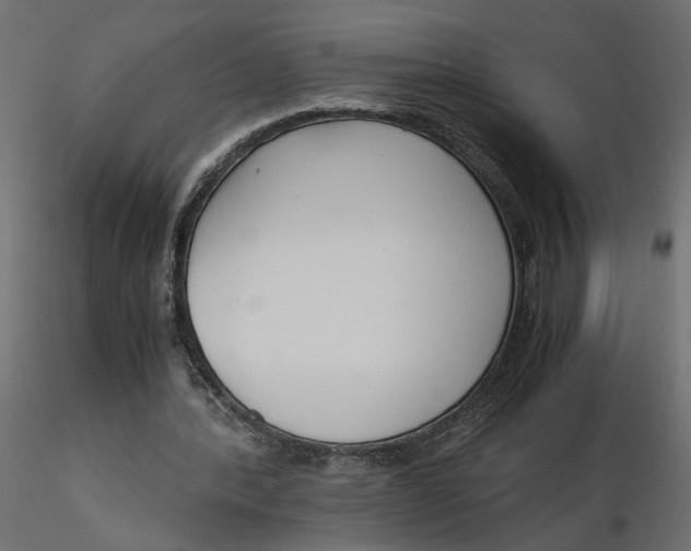 X0000116560388200912311937