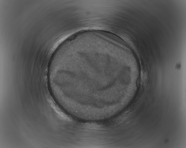 X0000116560389200912311937