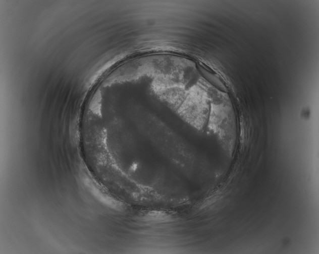 X0000116560390200912311937